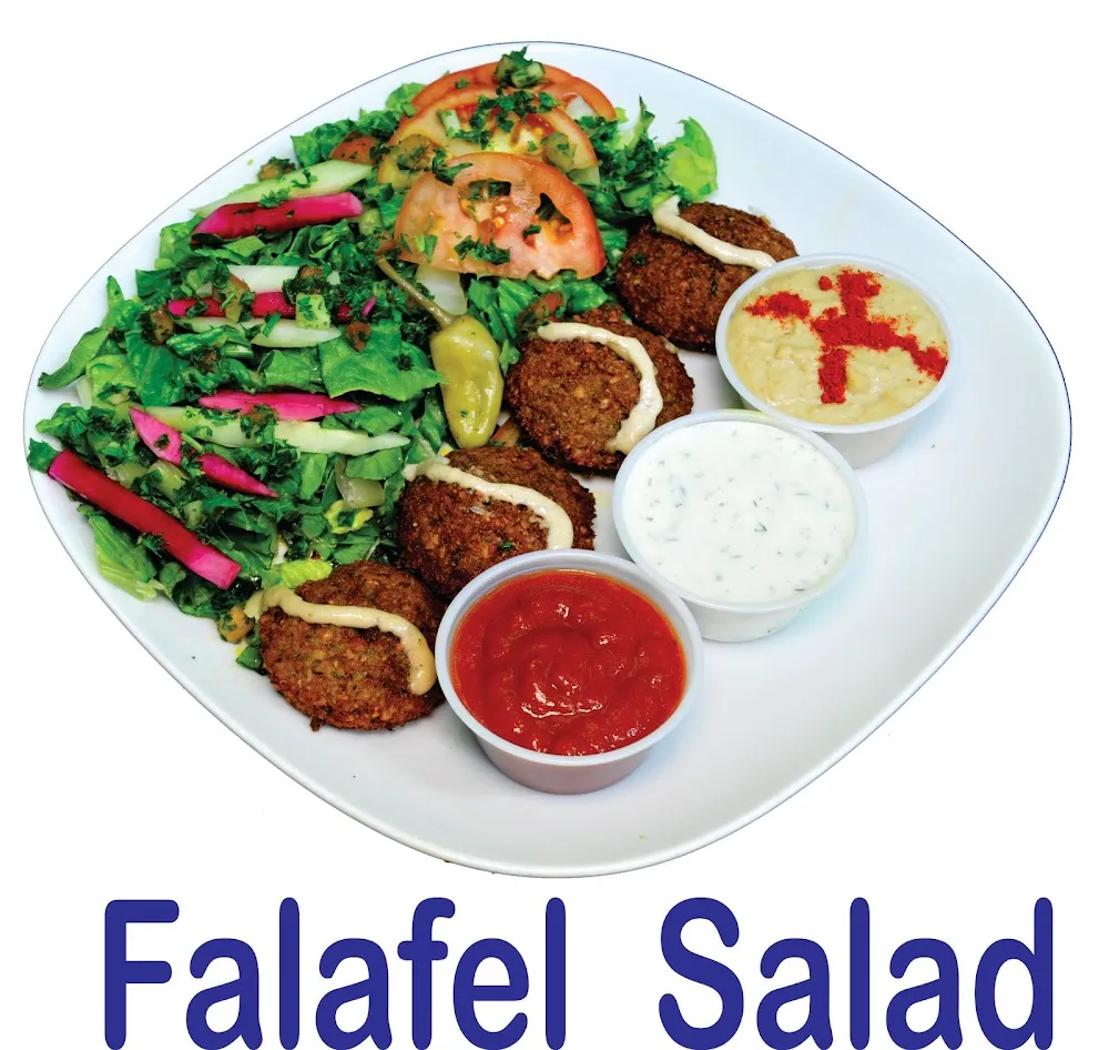 Falafel Plate